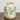 8” Floral Tuscan Ceramic Green Scroll Vase