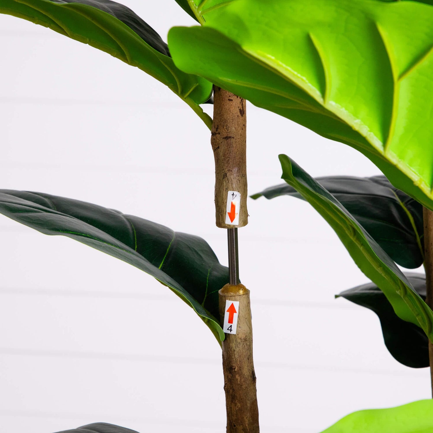 8' Artificial Fiddle Leaf Tree in Decorative White Planter