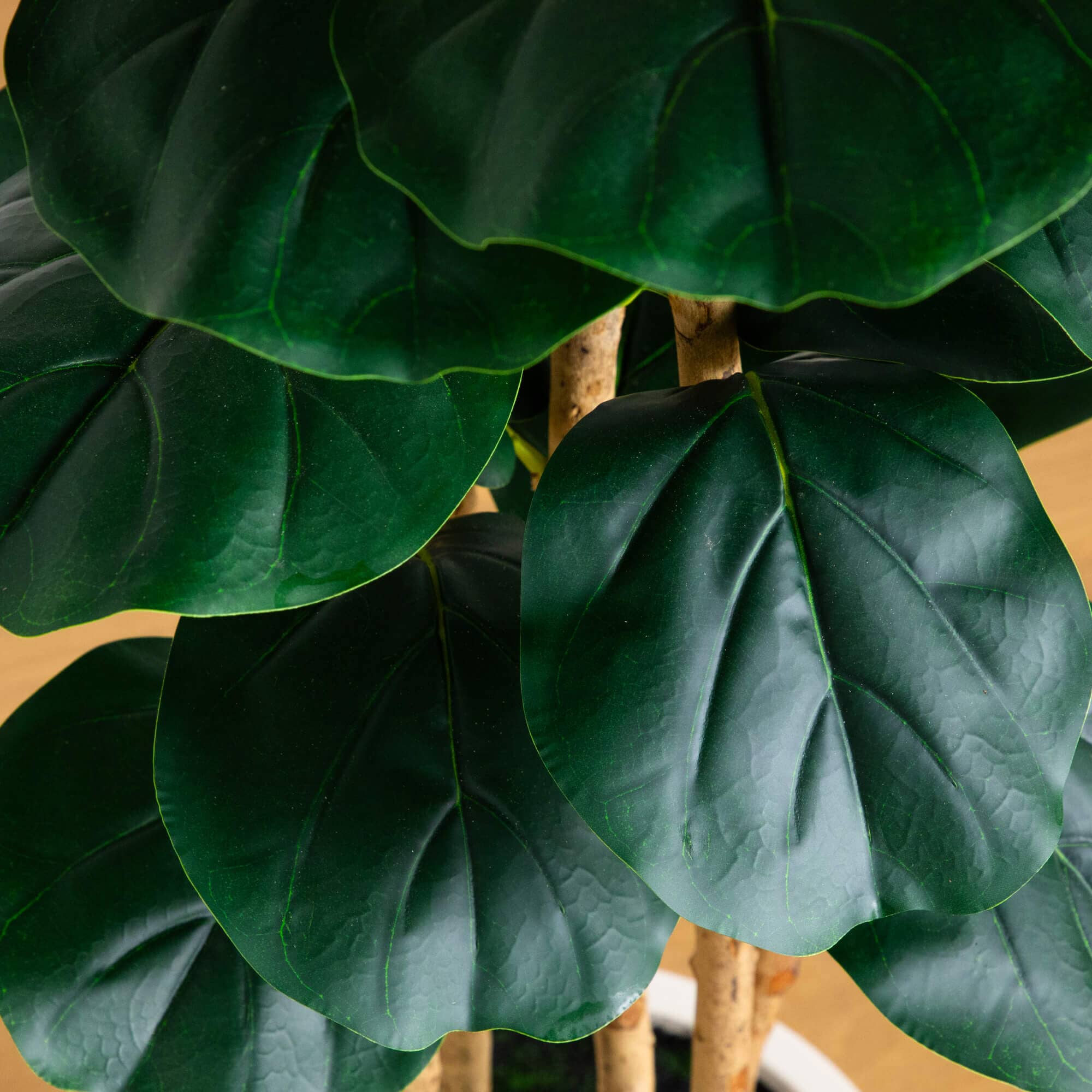 L’Appartement 別注STAMMBAUM 　新品！¥39600 8' Artificial Fiddle Leaf Tree in Decorative White Planter