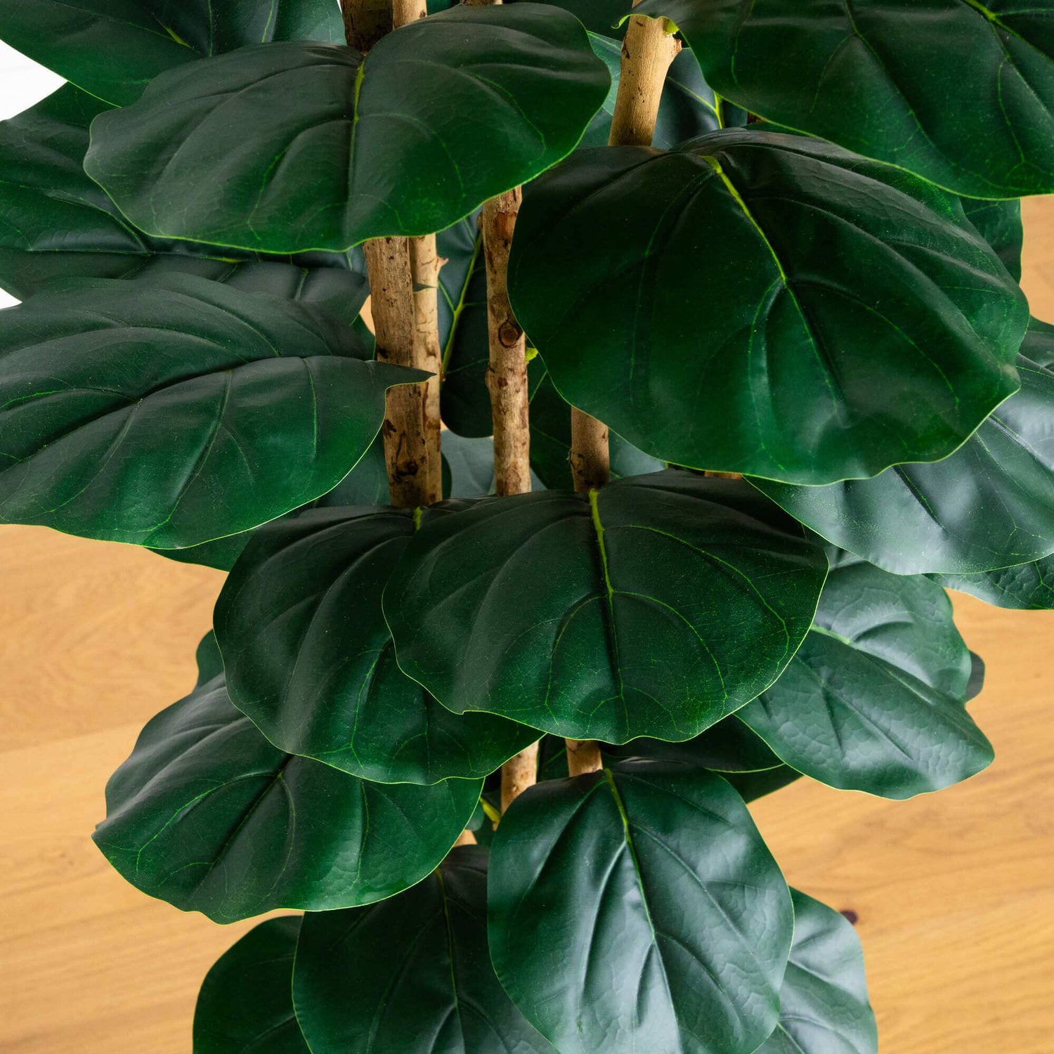 8' Artificial Fiddle Leaf Tree in Decorative White Planter