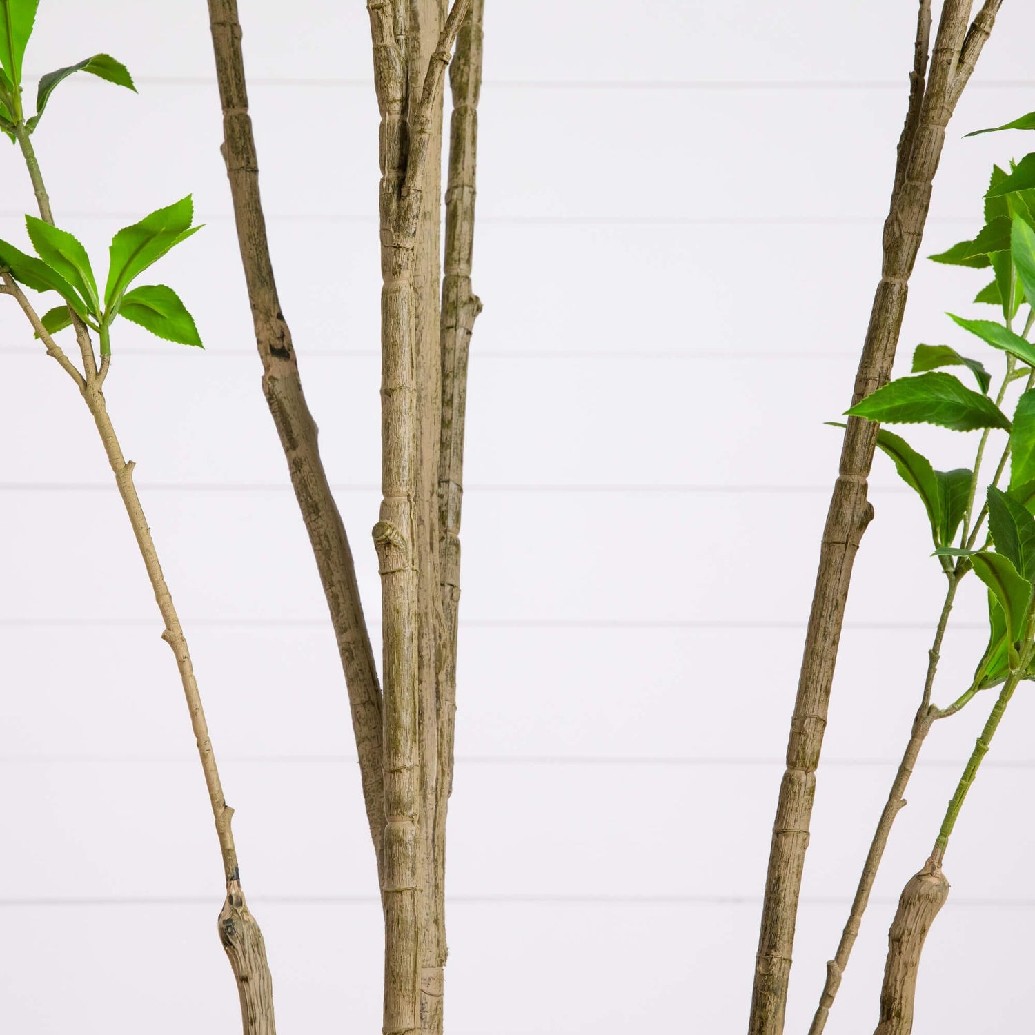 8' Artificial Minimalist Japanese Pieris Tree