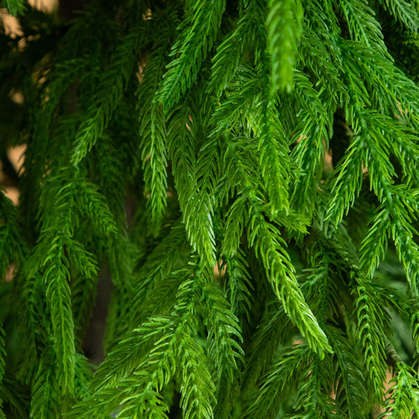 8' Artificial Real Touch Norfolk Island Pine Christmas Tree with Natural Look