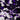 8' Pre-Lit Artificial Halloween Black Eucalyptus Tree with 540 Orange & Purple LED Lights
