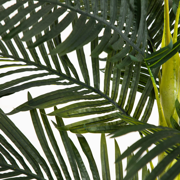 8' Golden Cane Palm Silk Tree
