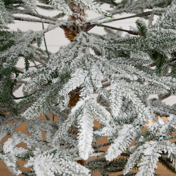 8’ Pre-Lit Artificial Flocked Woodland Fir Christmas Tree with 250 Warm White LED Lights