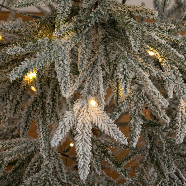 8’ Pre-Lit Artificial Flocked Woodland Fir Christmas Tree with 250 Warm White LED Lights