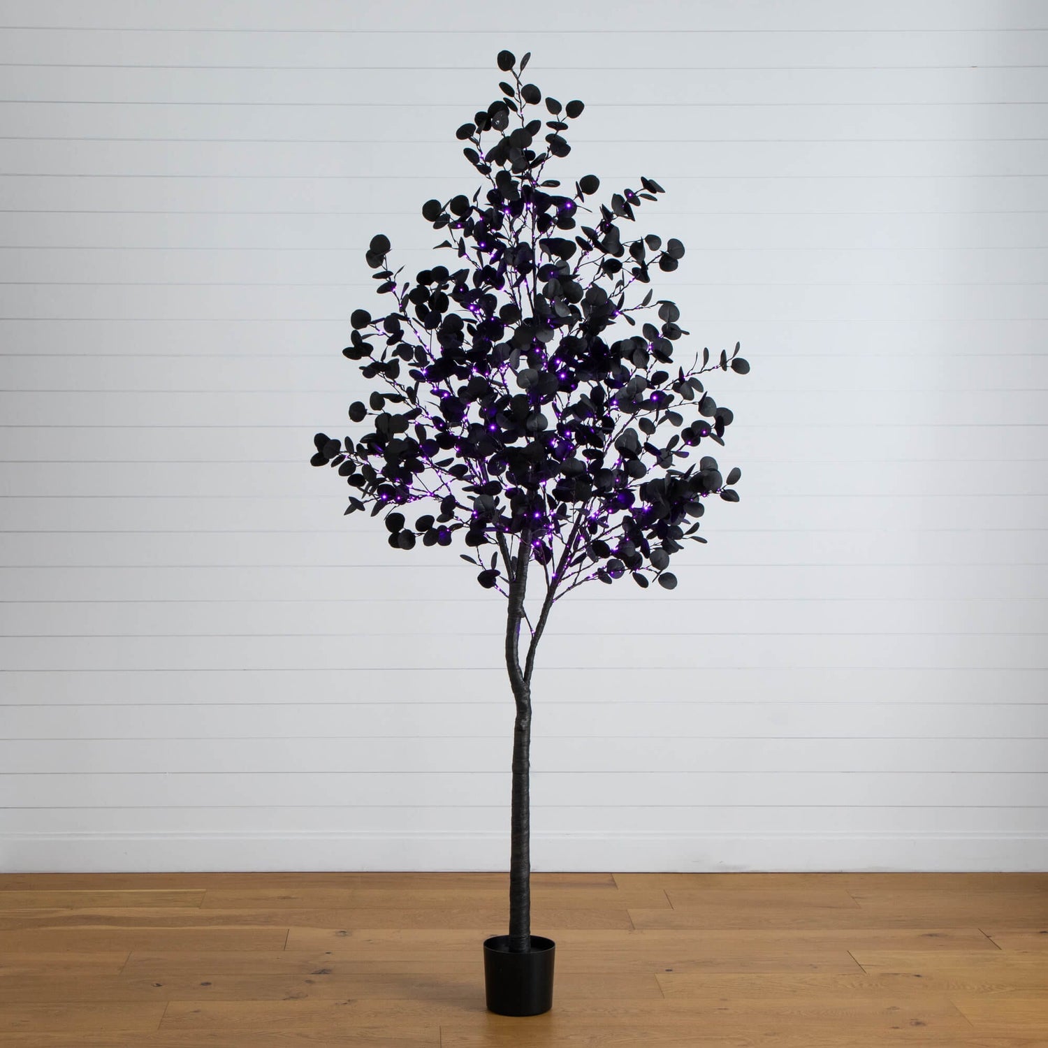 8' Pre-Lit Artificial Halloween Black Eucalyptus Tree with 540 Orange & Purple LED Lights