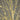 8’ Pre-Lit Artificial White Birch Tree with 500 Warm White LED Lights