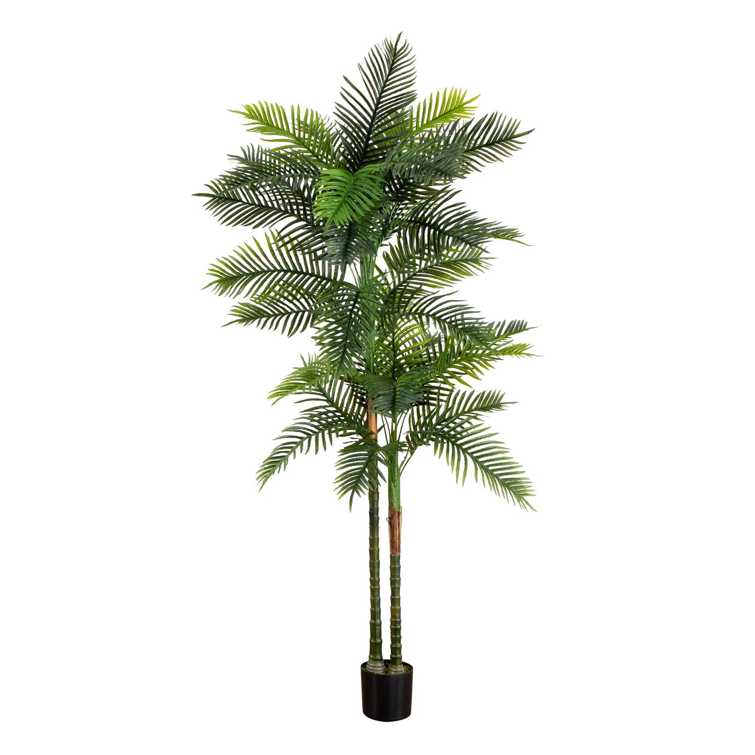 8’ UV Resistant Artificial Double Robellini Palm Tree (Indoor/Outdoor)