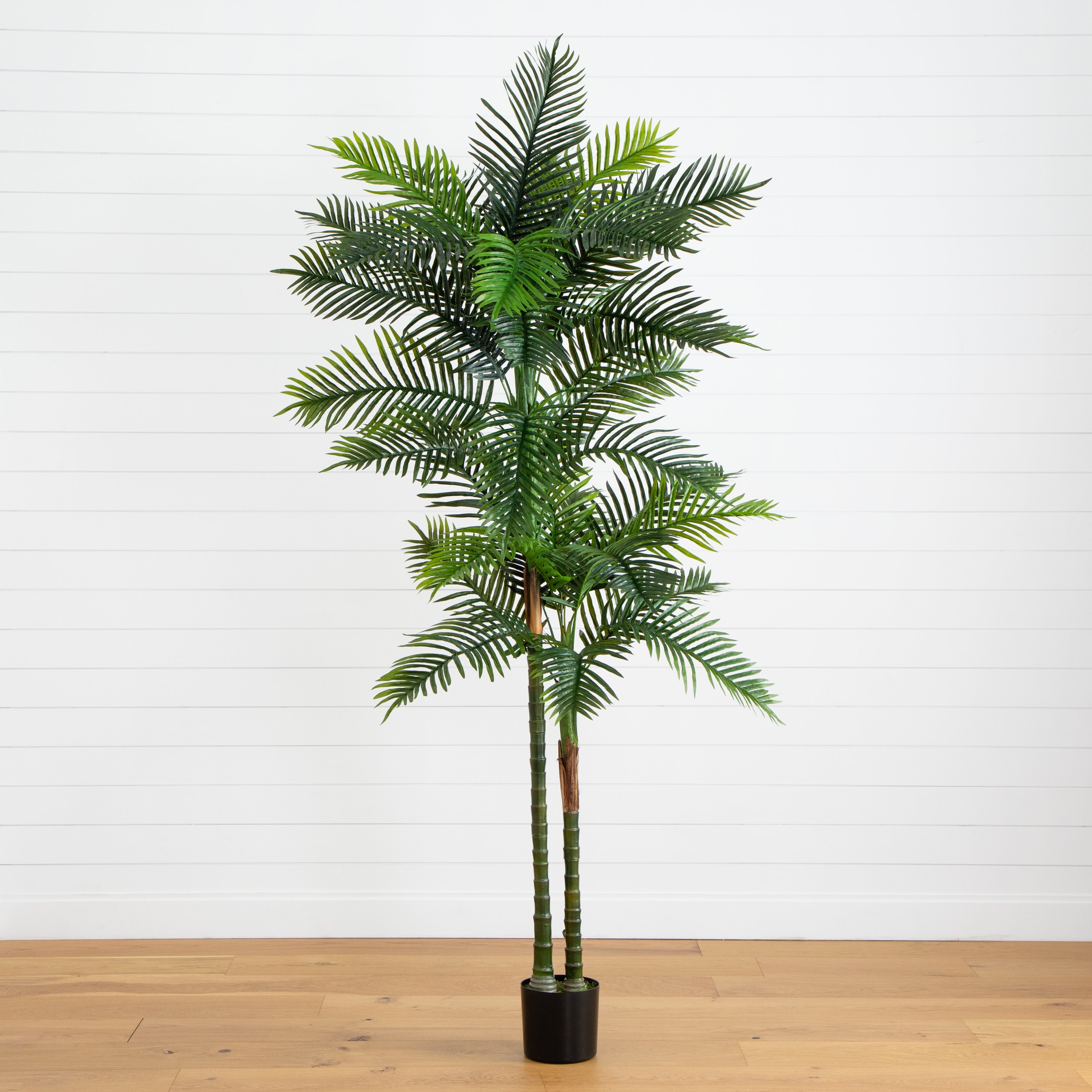 8' UV Resistant Artificial Double Robellini Palm Tree (Indoor
