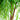 8’ Willow Artificial Tree  (Real Touch)