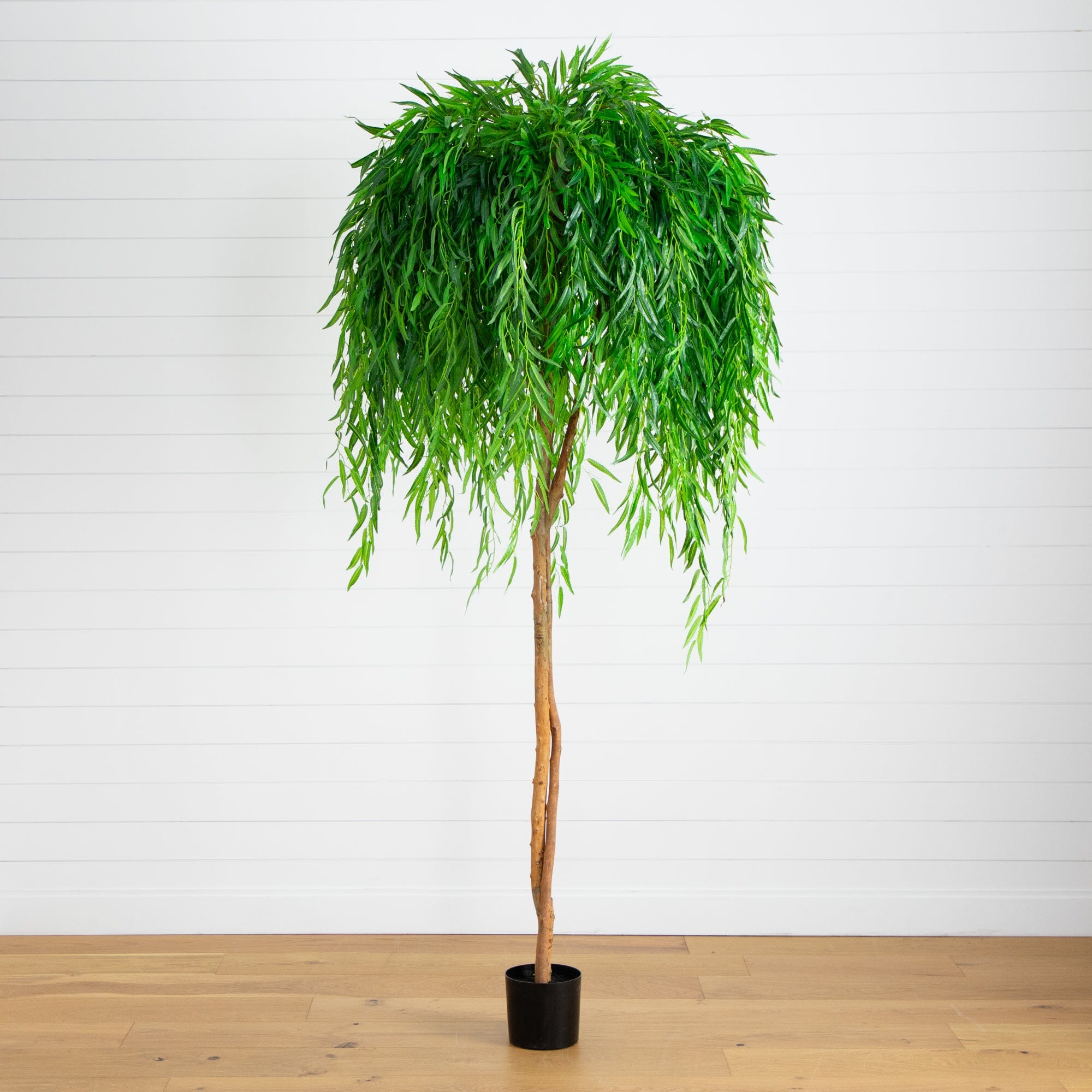 8' Willow Artificial Tree (Real Touch) | Nearly Natural