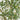 7' Artificial Airy Olive tree