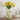 8.5” Lemon Print Ceramic Rustic Vase