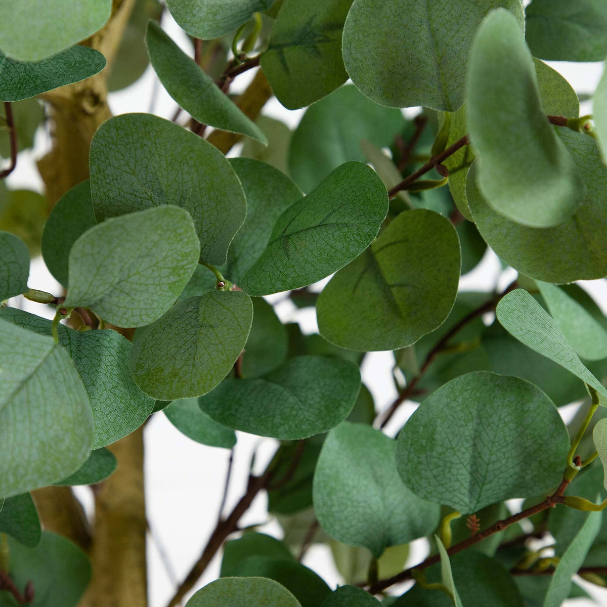 Artificial Eucalyptus Trees Faux Eucalyptus Trees Nearly Natural