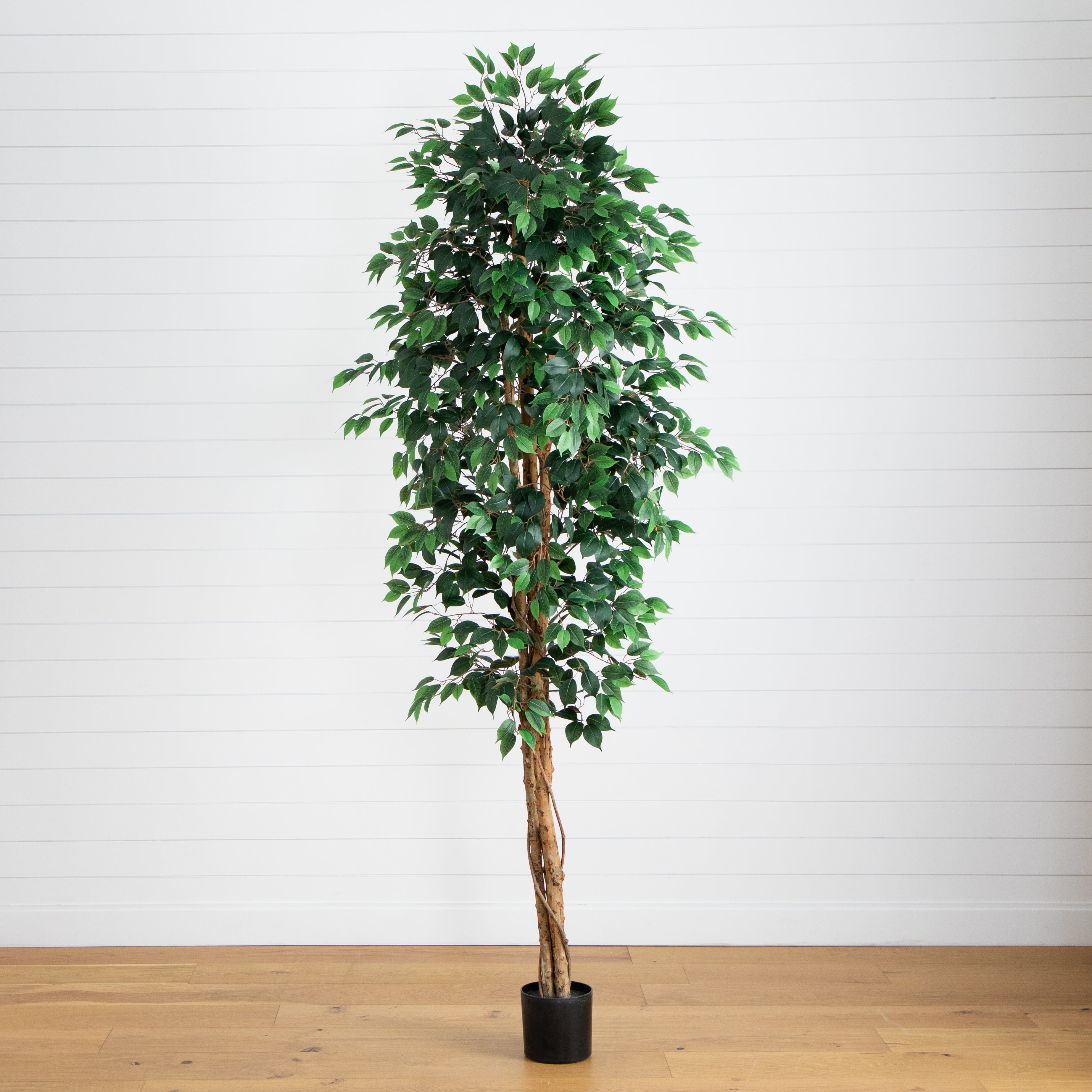 L’Appartement 別注STAMMBAUM 　新品！¥39600 9' Artificial Ficus Tree with Natural Trunk | Nearly Natural