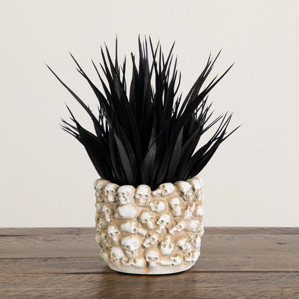 9” Artificial Halloween Black Succulent Plant in Gothic Skull Planter