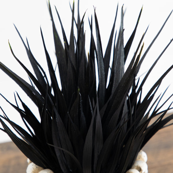 9” Artificial Halloween Black Succulent Plant in Gothic Skull Planter