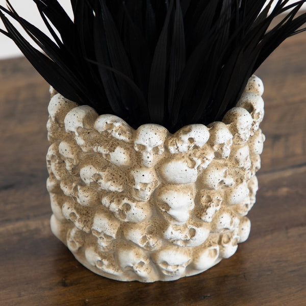 9” Artificial Halloween Black Succulent Plant in Gothic Skull Planter