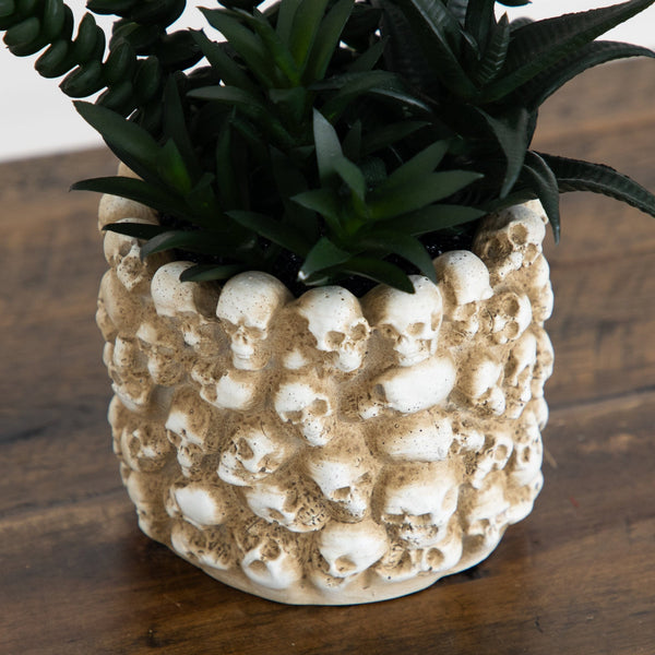 9” Artificial Halloween Succulent Garden in Gothic Skull Planter