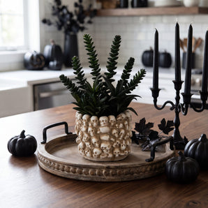 9” Artificial Halloween Succulent Garden in Gothic Skull Planter