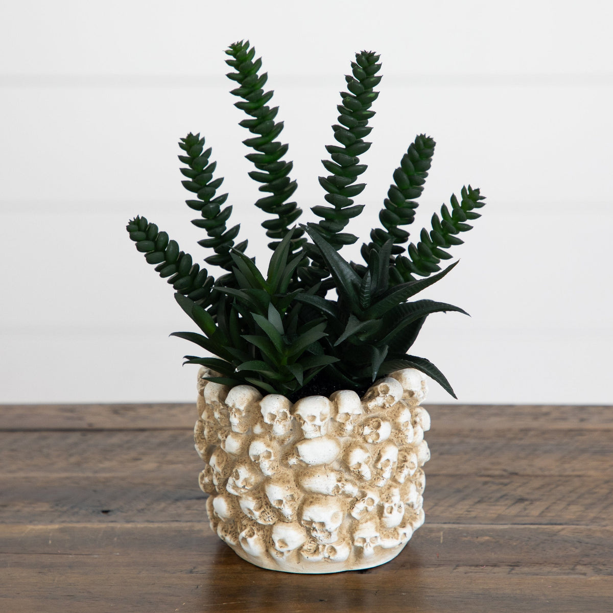 9” Artificial Halloween Succulent Garden in Gothic Skull Planter