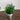 9” Artificial Lavender Plant in Decorative Daisy Tin Planter -Set of 3