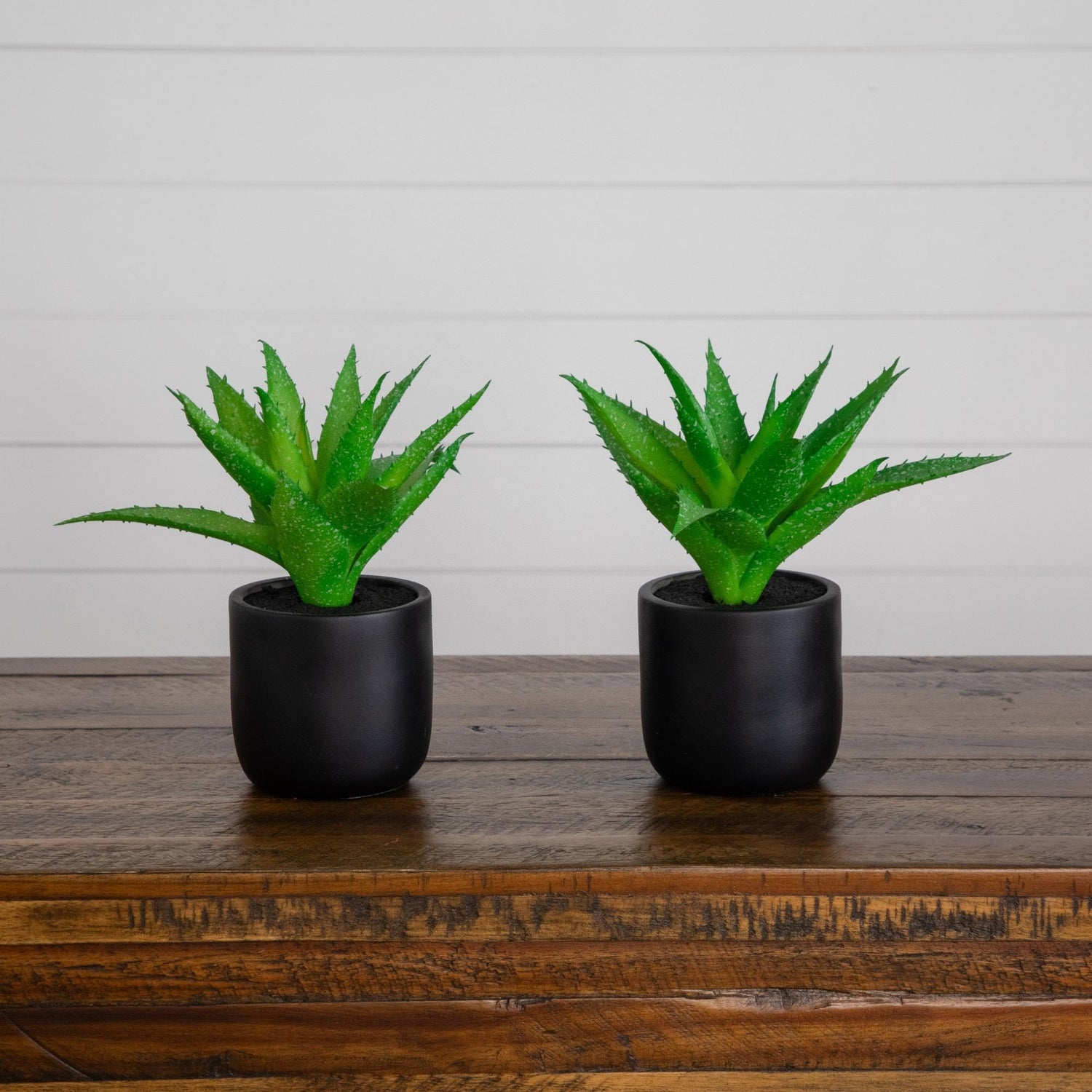 9” Artificial Mini Agave Plant in Ceramic Black Planter - Set of 2