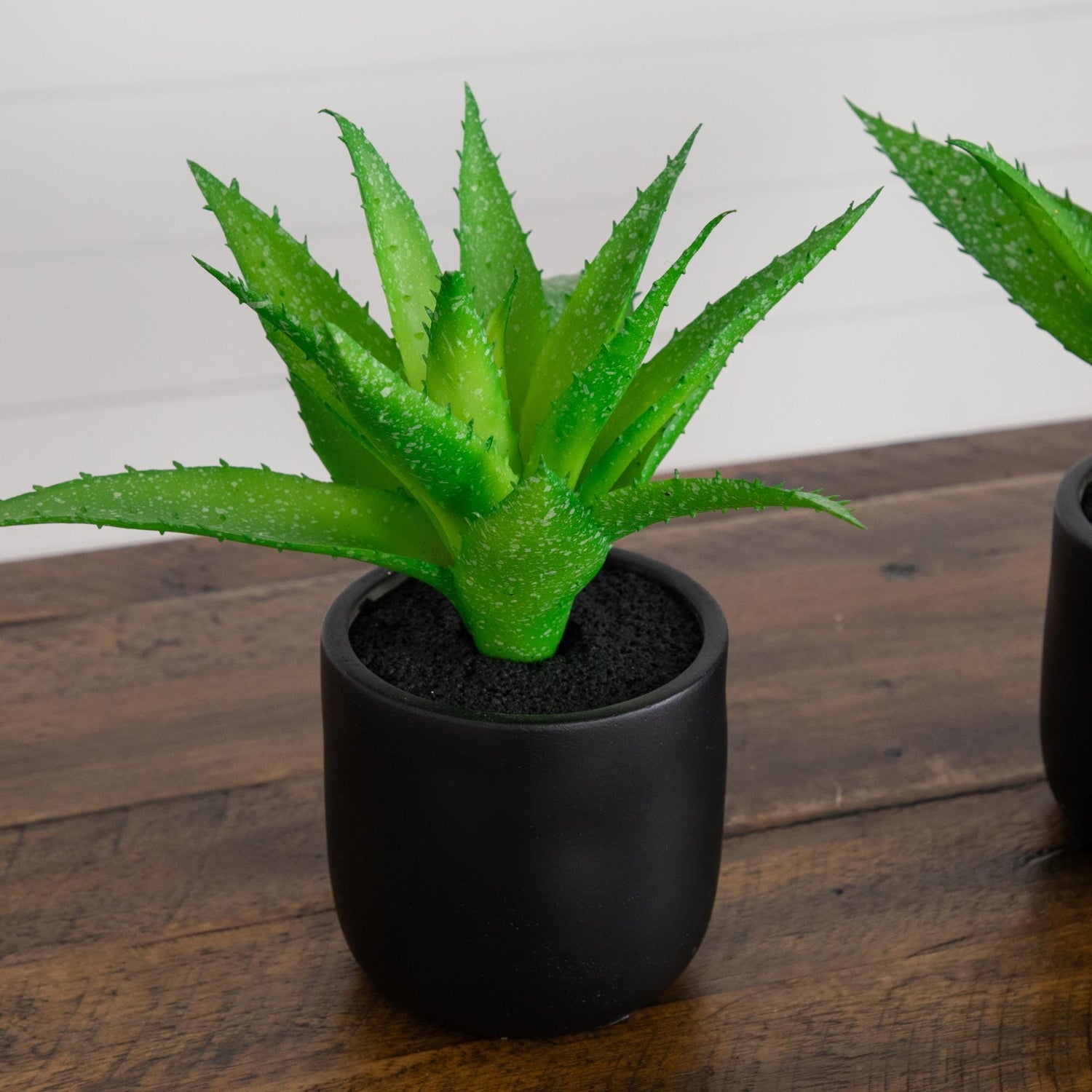 9” Artificial Mini Agave Plant in Ceramic Black Planter - Set of 2