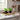 9” Artificial Mini Agave Plant in Ceramic Black Planter - Set of 2