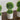 9" Artificial Mini Cactus Ball Topiary in Cement Planter - Set of 3