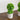 9" Artificial Mini Eucalyptus Ball Topiary in Cement Planter -Set of 2