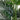 9’ Artificial Paradise Palm Tree