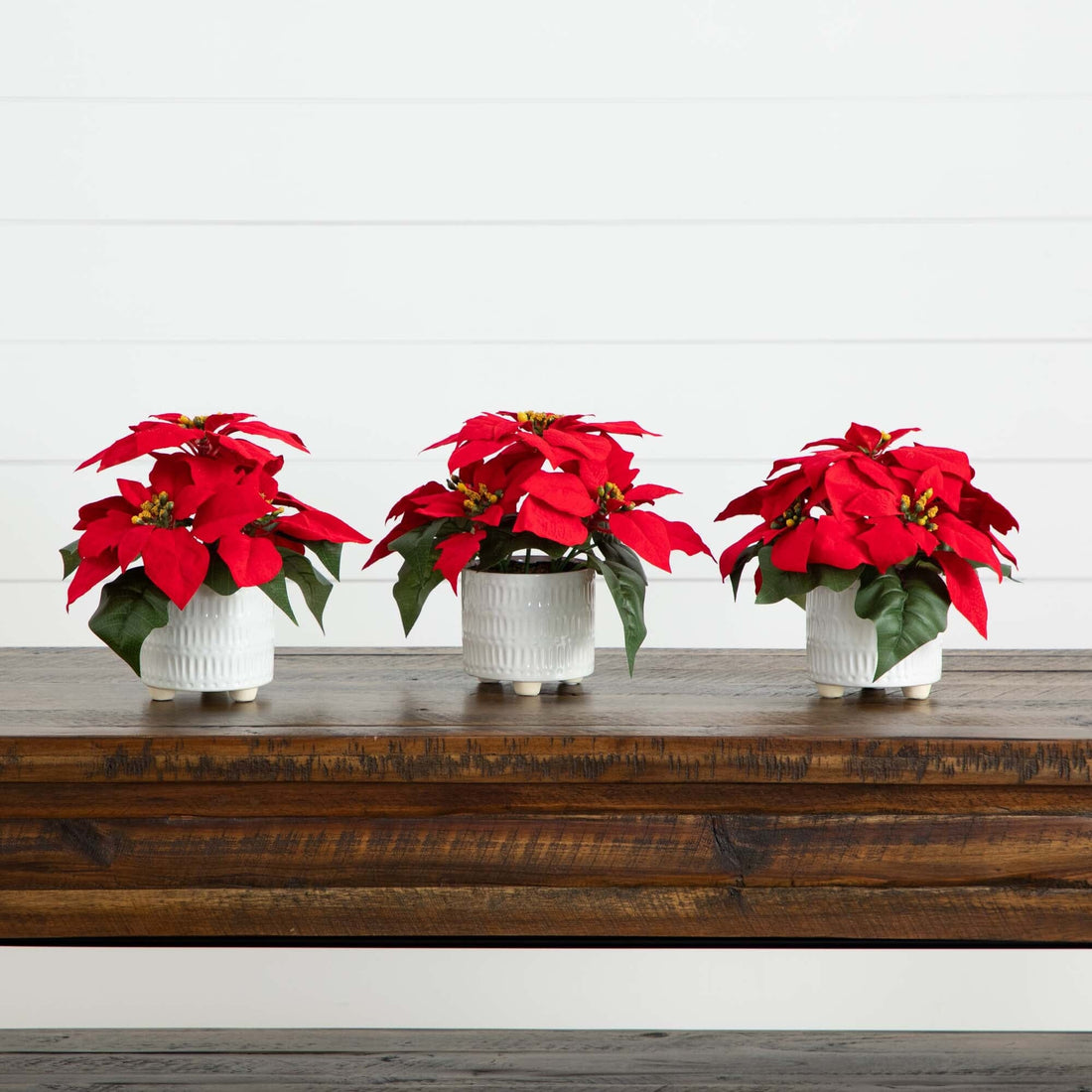 Flowers in Pots Set A (9)