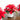 9” Artificial Poinsettia Arrangements in White Ceramic Pots - Set of 3