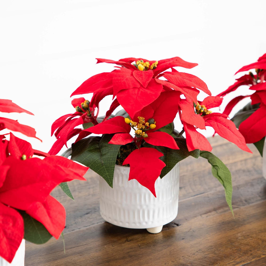 poinsettia plant pot 9” Artificial Poinsettia Arrangements in White Ceramic Pots