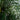 9' Artificial Areca Palm Tree UV Resistant (Indoor/Outdoor)