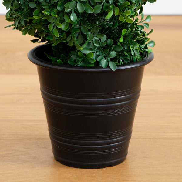 Boxwood Spiral Topiary with Planter (Indoor/Outdoor)