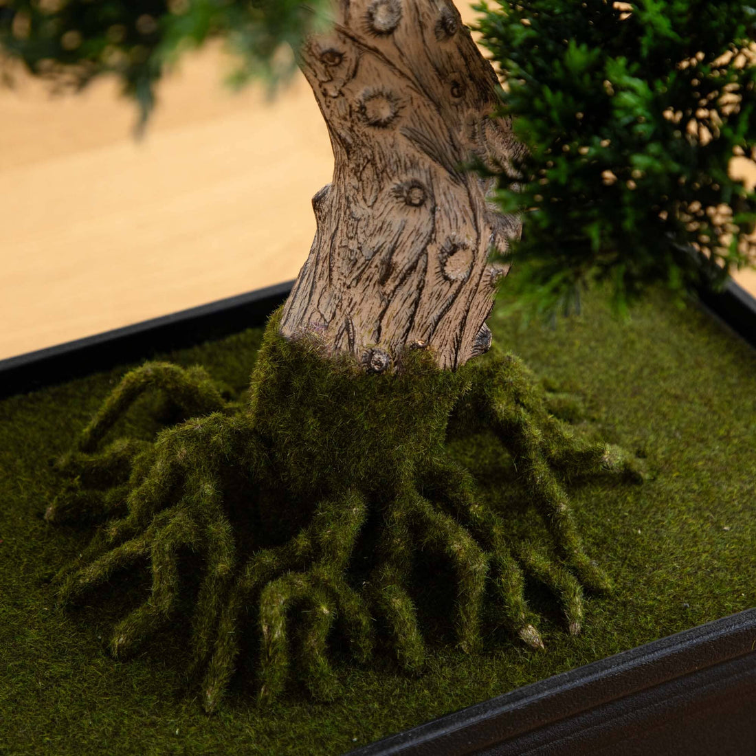 Cedar Bonsai 24