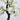 Cherry Blossom Bonsai Artificial Tree