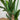 Giant Traveler's Palm Artificial Tree