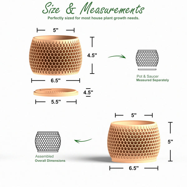 Honeycomb Planter