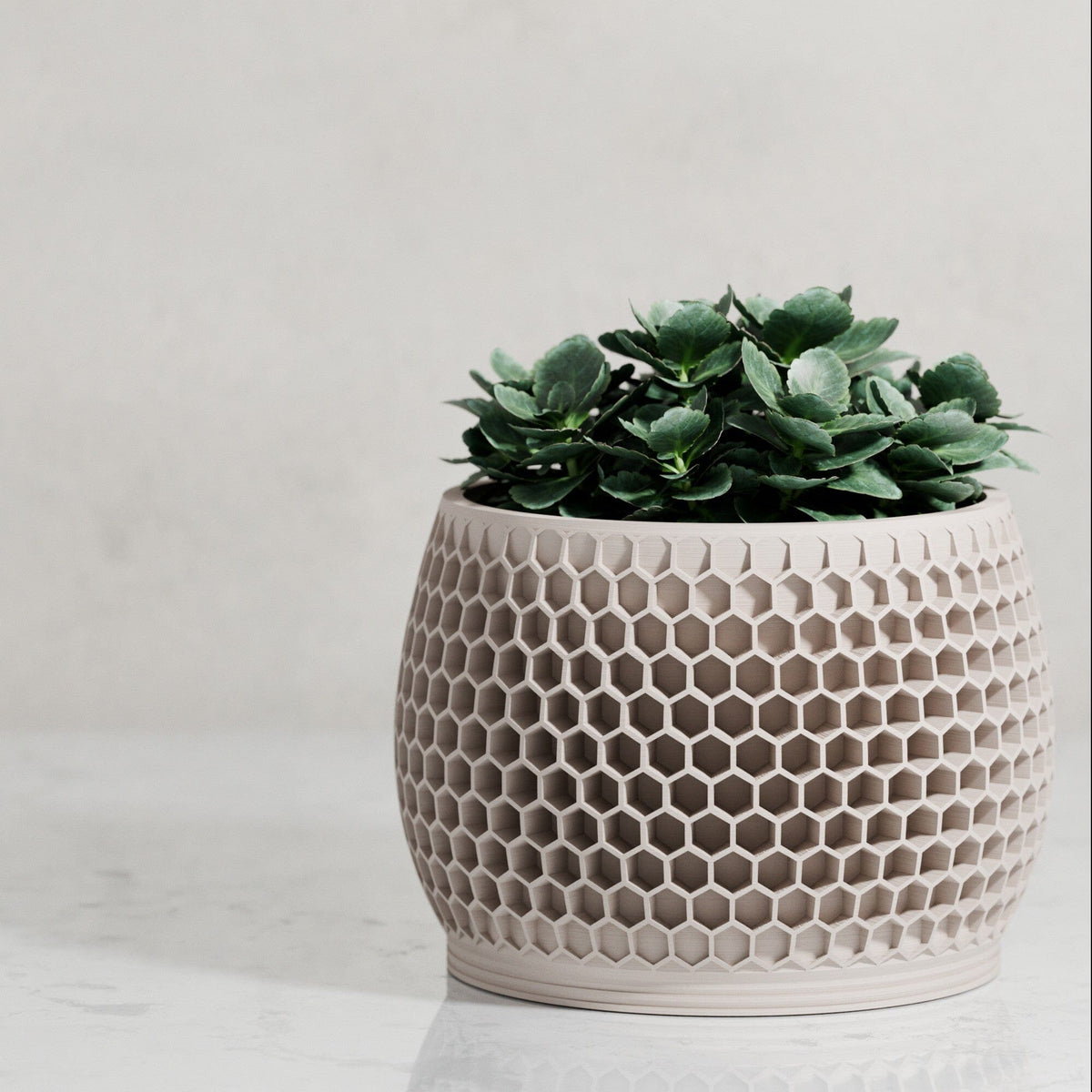 Honeycomb Planter