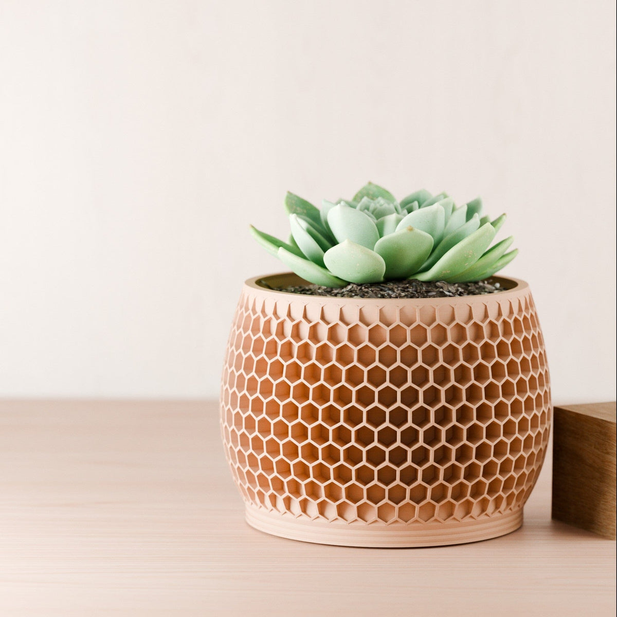 Honeycomb Planter