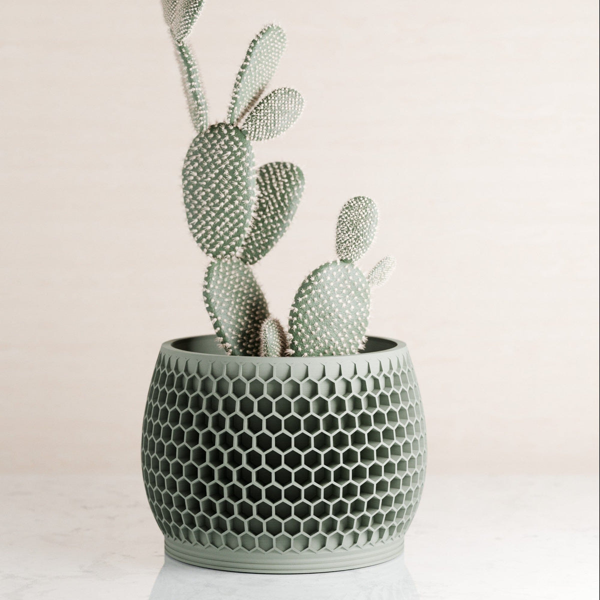 Honeycomb Planter