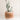 Honeycomb Planter