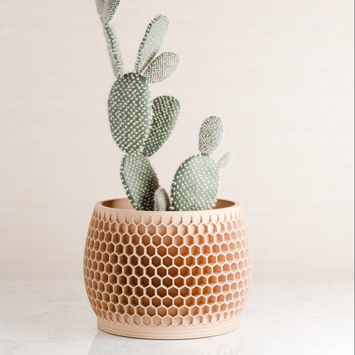 Honeycomb Planter