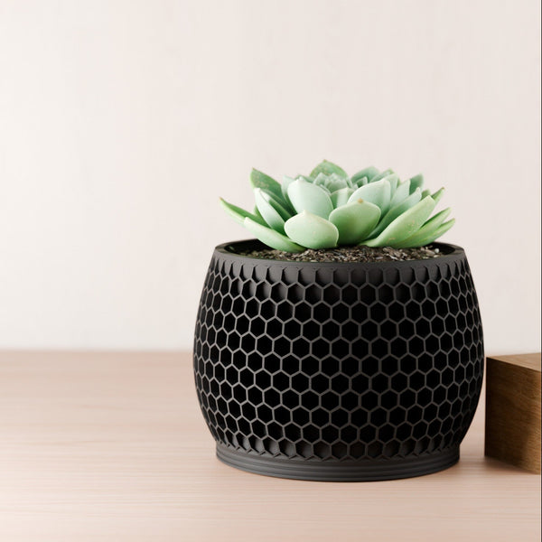 Honeycomb Planter