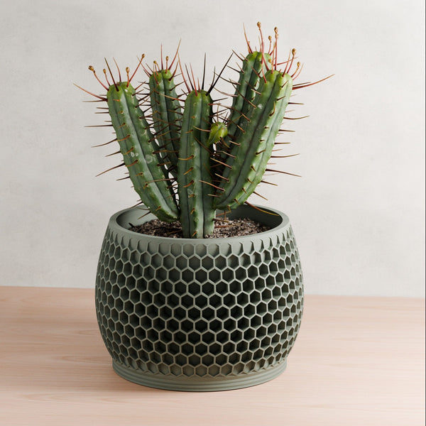 Honeycomb Planter