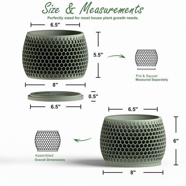 Honeycomb Planter